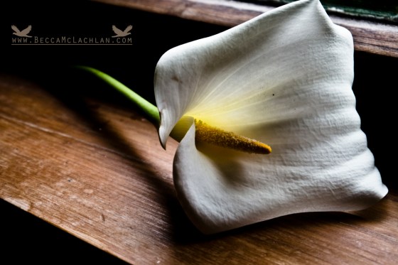 New Photos and A New Page!