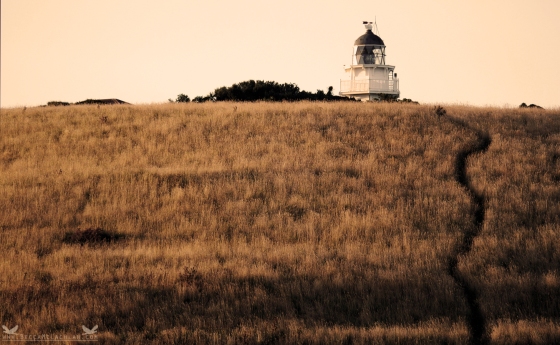 Lighthouse at Katiki Point, Moeraki Peninsula, New Zealand.