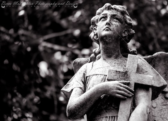 Day 9 - 09/01/17 - Northern Cemetery