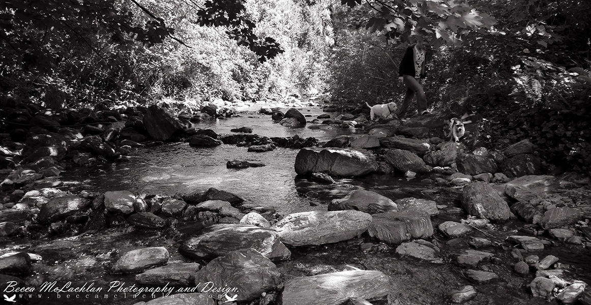 Woodside, Outram, Dunedin, New Zealand