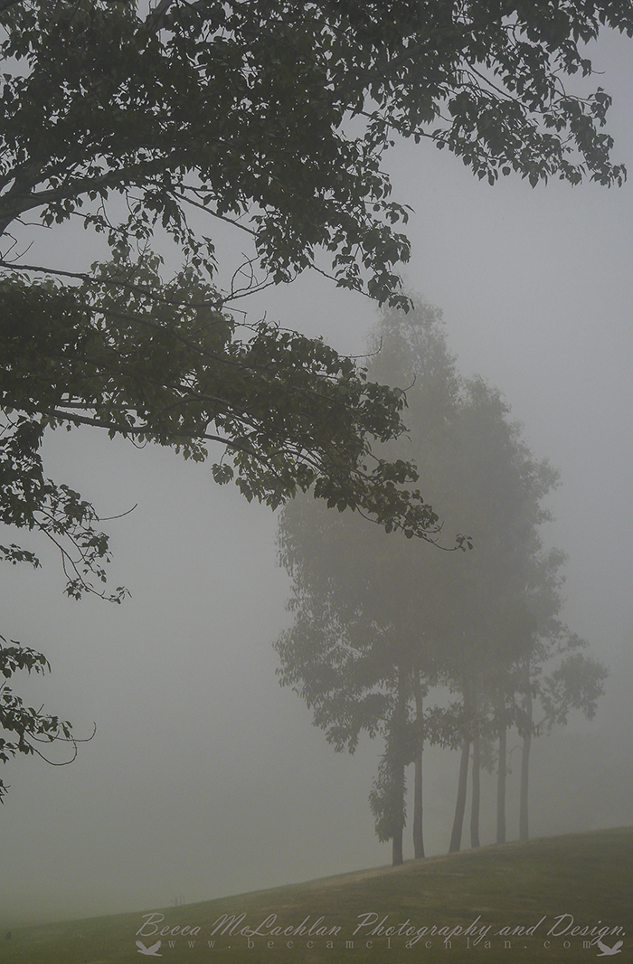 Day 22 - 22/01/17 - Foggy Sunday