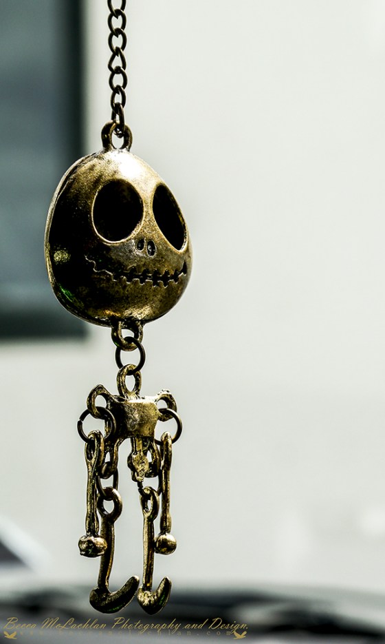 Day 23 - 23/01/17 - My Little Car Buddy