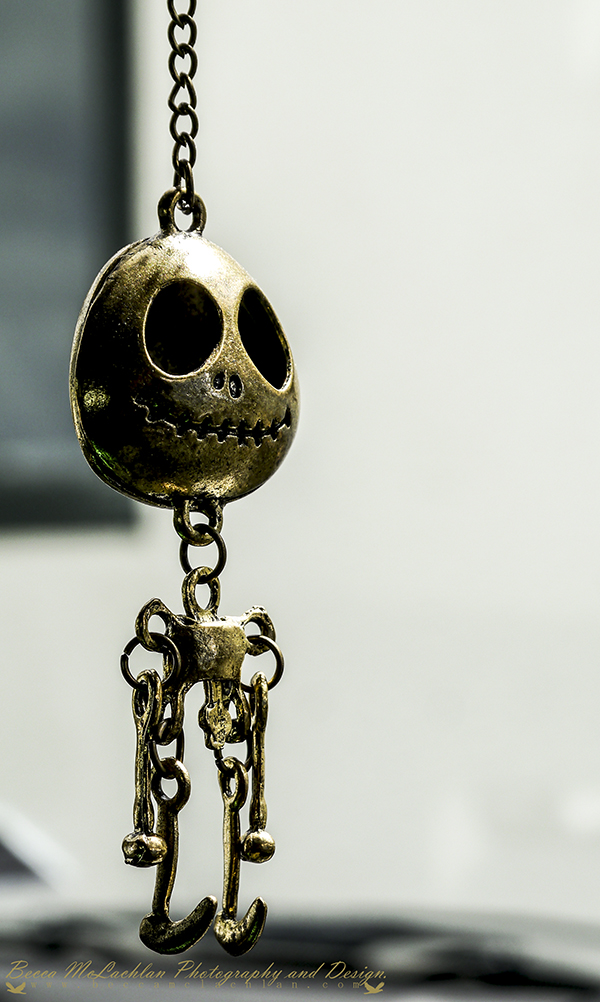 Day 23 - 23/01/17 - My Little Car Buddy