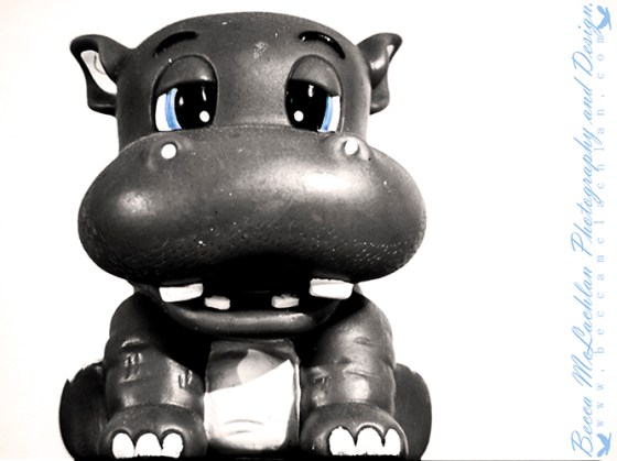 Day 33 - 02/02/17 - Pippa