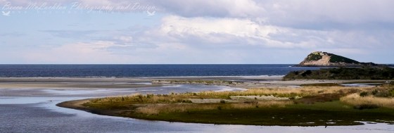 Day 45 - 14/02/17 - Island Park Estuary, Waldronville, Dunedin, New Zealand
