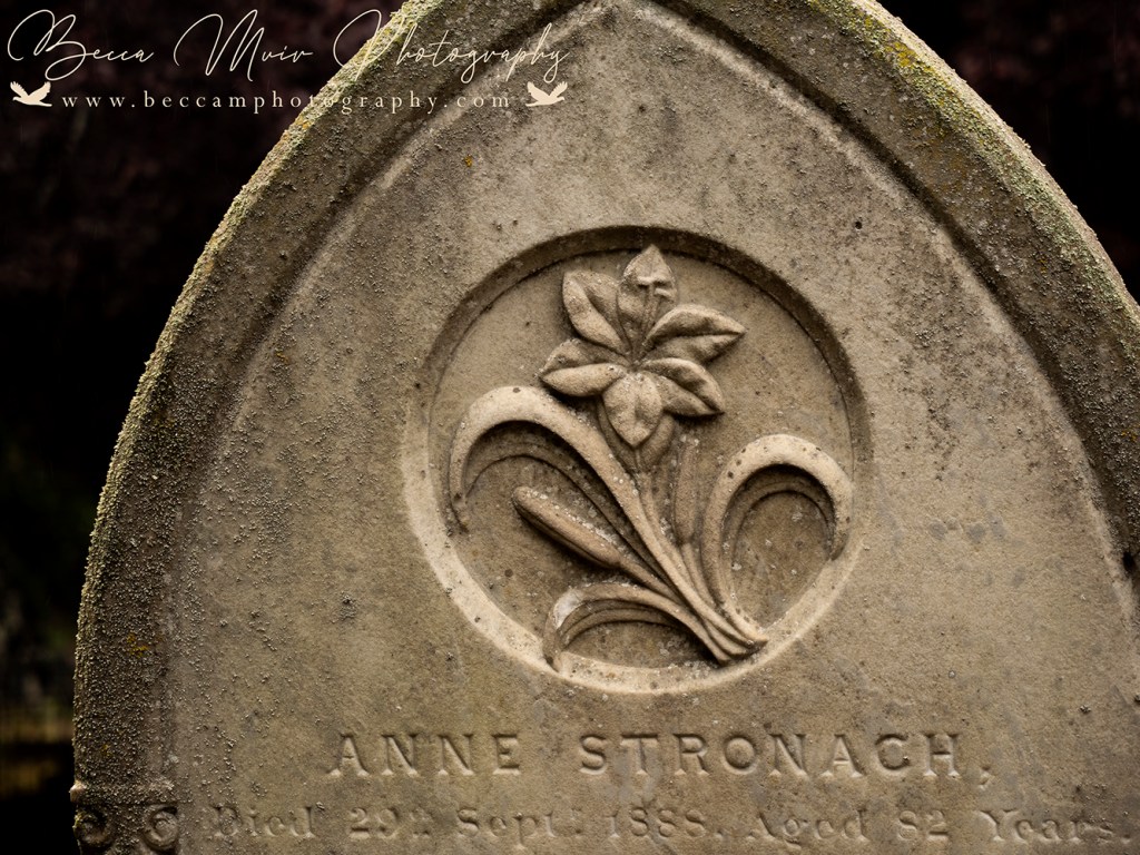 Southern Cemetery – Dunedin, New&nbsp;Zealand